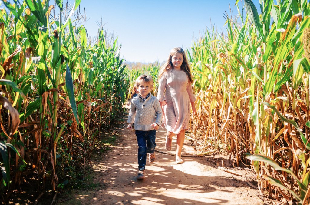 The 7 Best Fall Weekend Activities You'll Find in Franklin A young boy and girl walk hand-in-hand through a corn maze on a sunny day in Williamson County, Tennessee.