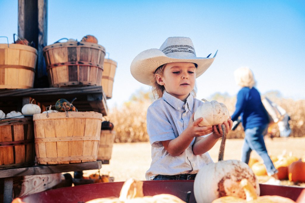 10 Ways to Fall in Love with Fall in Williamson County child picking pumpkins at farmstand