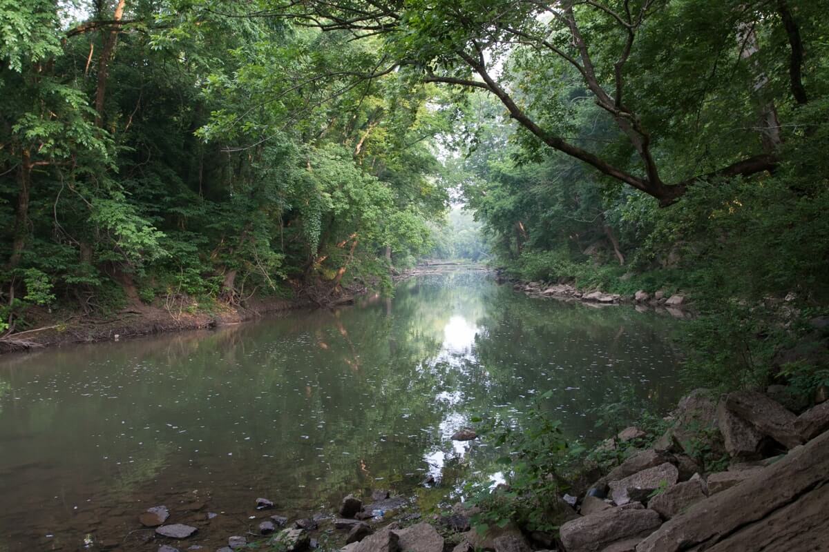 Deerwood Arboretum & Nature Center A serene river winds through a lush, green forest with rocks along the shore in Williamson County, Tennessee.