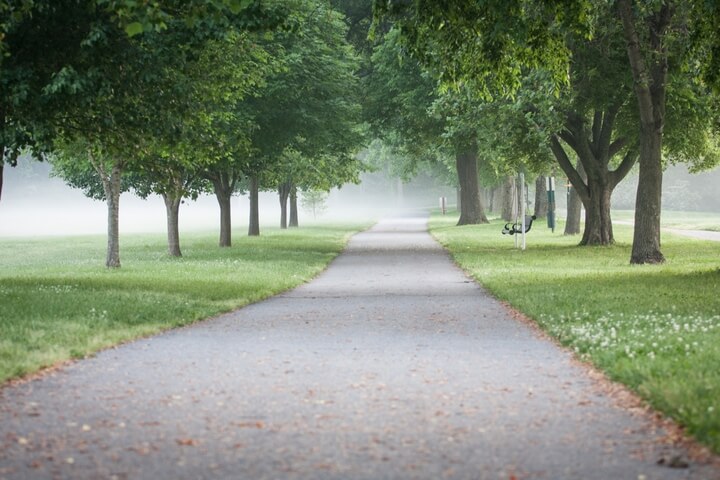 A serene, tree-lined path winds through a misty park on a calm morning in Williamson County, Tennessee.