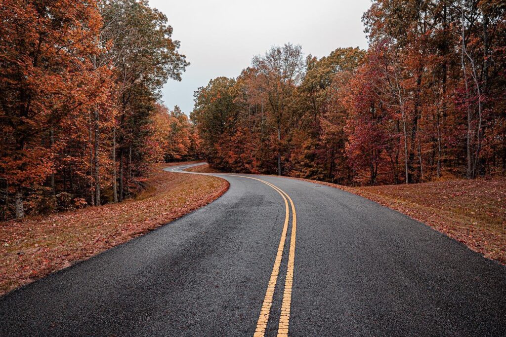 The Most Picturesque Spots for Fall Photos Around Franklin A winding two-lane road cuts through a vibrant autumn forest, flanked by colorful trees in Williamson County, Tennessee.