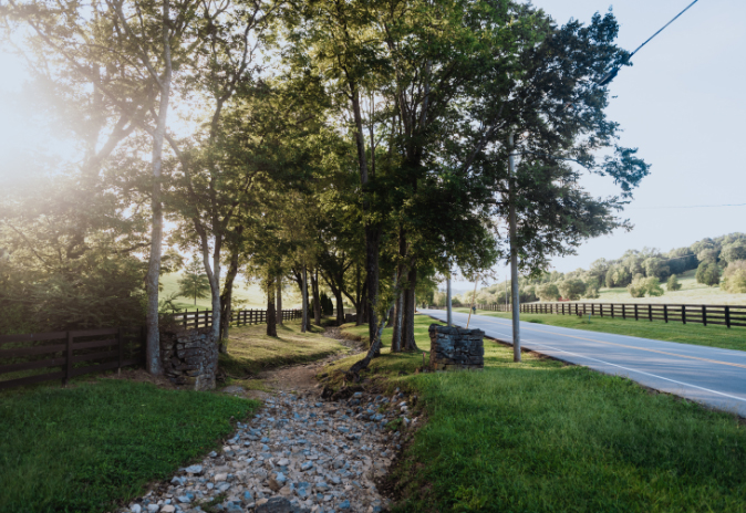 Communities A serene country road lined with lush trees and a gravel ditch, bathed in sunlight in Williamson County, Tennessee.