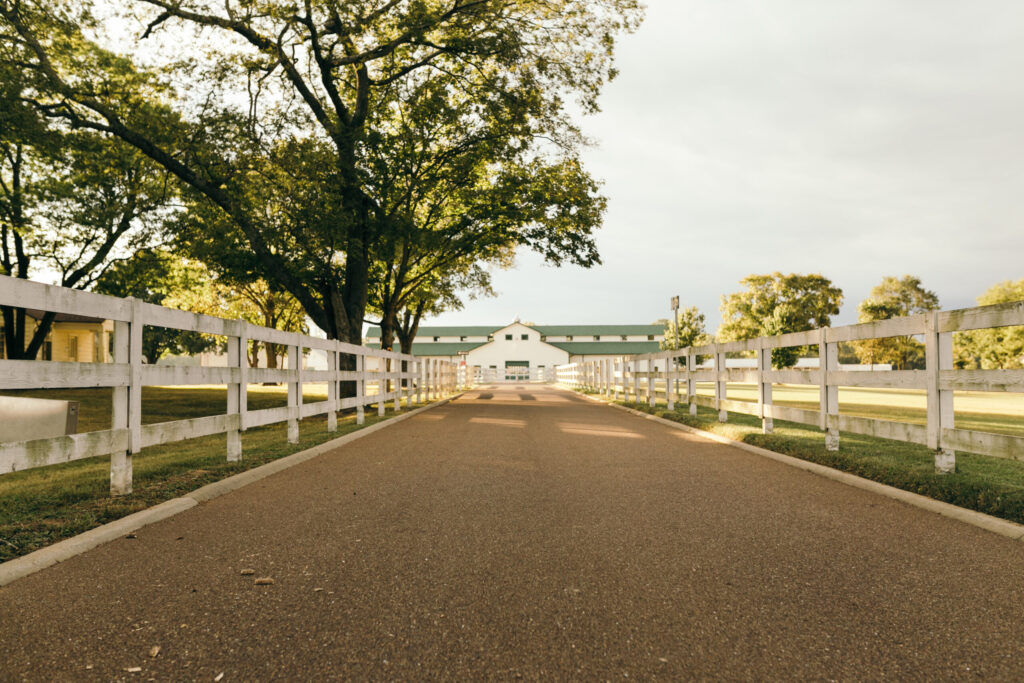 A winding gravel road flanked by white fences leads to a large white barn with a green roof in Williamson County, Tennessee.