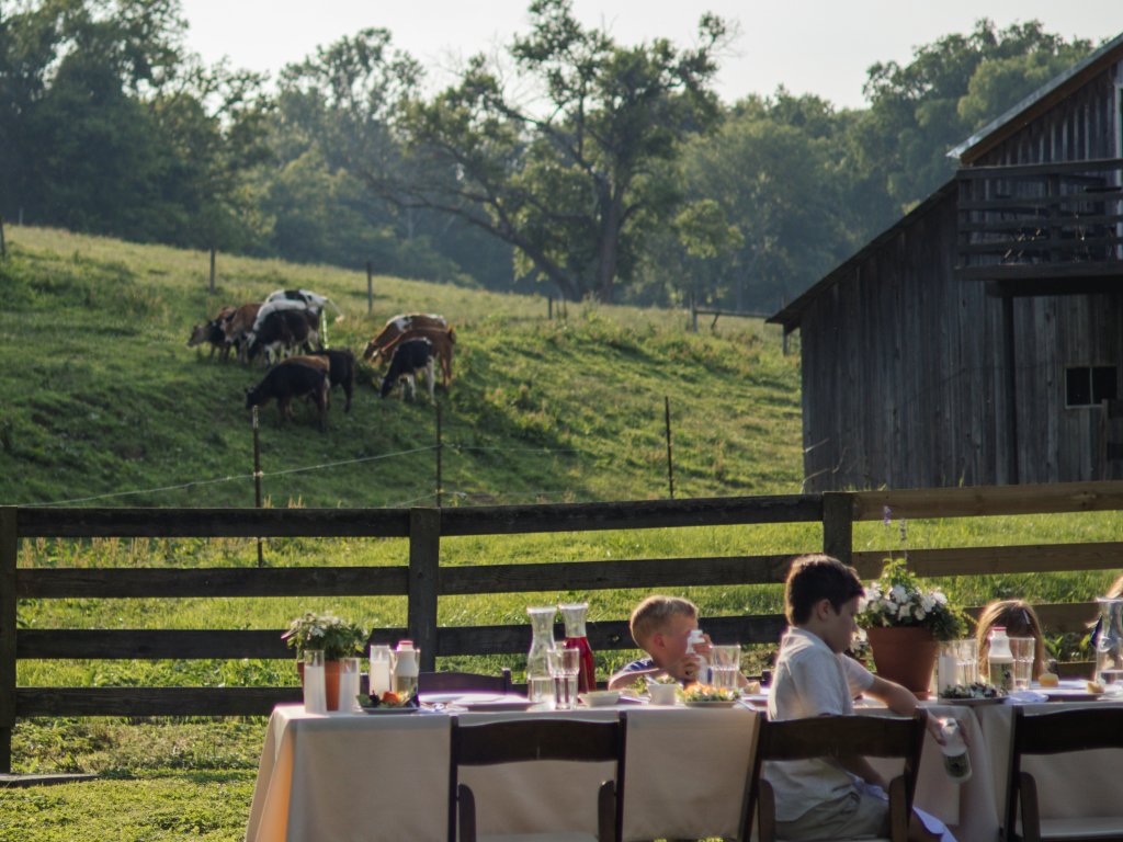 Franklin, Tennessee's Preservation Success Story A family enjoys a picnic lunch at a wooden table in a lush green field, with a rustic barn and grazing cows in the background in Williamson County, Tennessee.