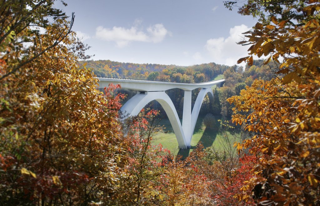 12 Amazing Things to Do in Charming Leiper's Fork, Tennessee A white bridge arches gracefully over a valley, framed by autumn trees in vibrant colors in Williamson County, Tennessee.