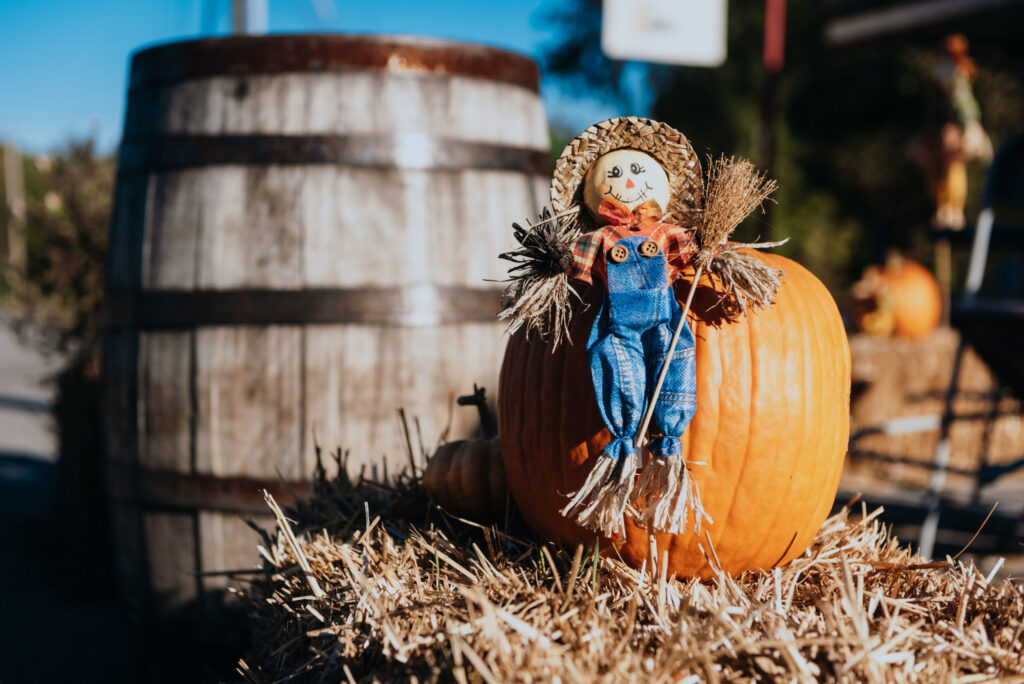 Fall Experiences in Leiper's Fork You Can't Miss A scarecrow doll sits on a pumpkin in front of a wooden barrel in Williamson County, Tennessee.
