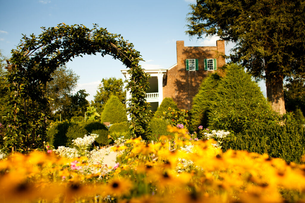11 ways to enjoy the great outdoors in #FranklinTN! A lush garden with yellow flowers and a brick house behind a green archway in Williamson County, Tennessee.