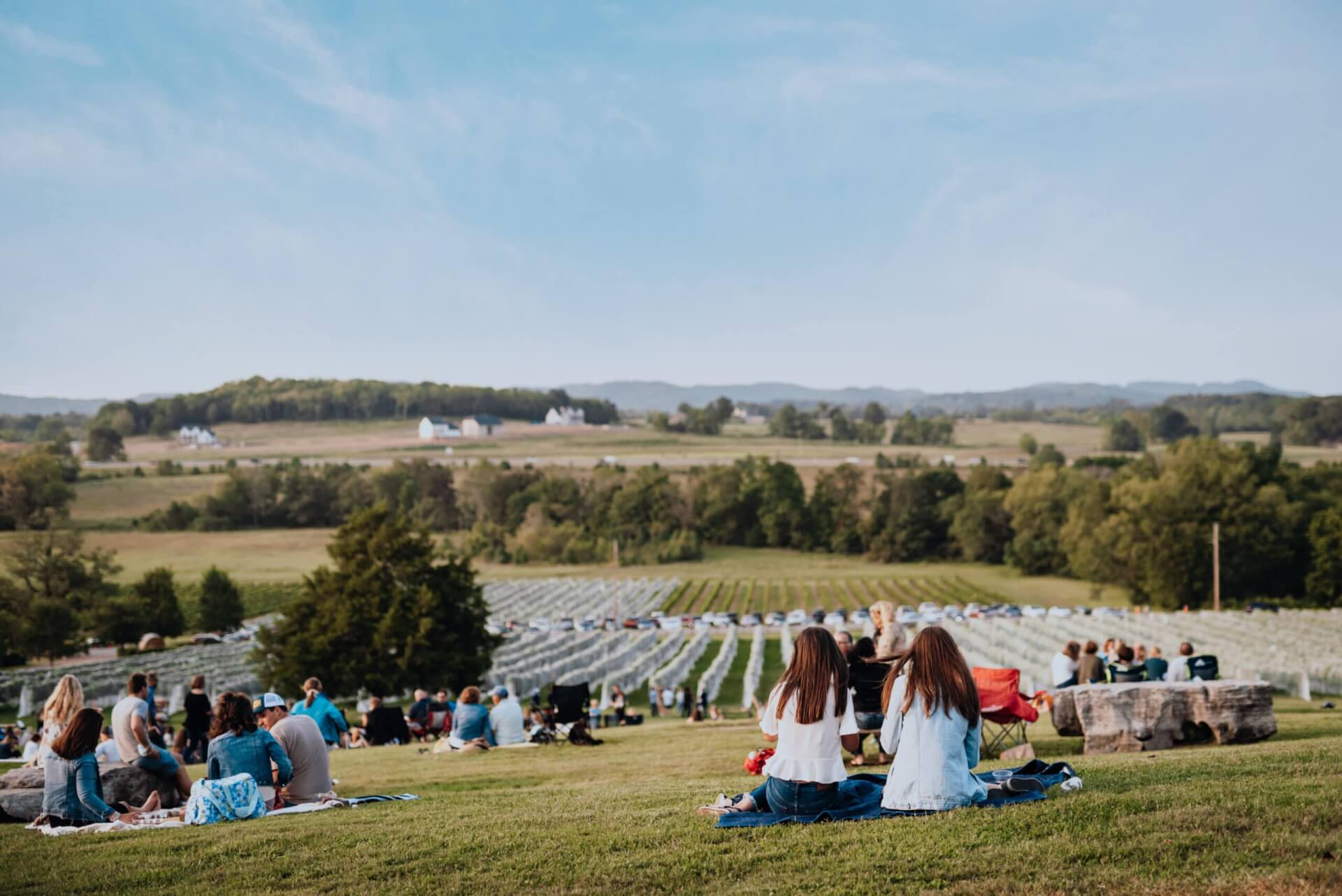 People enjoying a picnic on a grassy hill overlooking a vineyard and distant mountains in Williamson County, Tennessee.