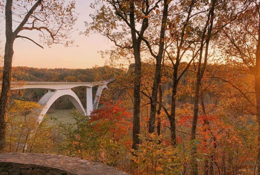 A white bridge arches gracefully over a river, framed by vibrant autumn trees in Williamson County, Tennessee.