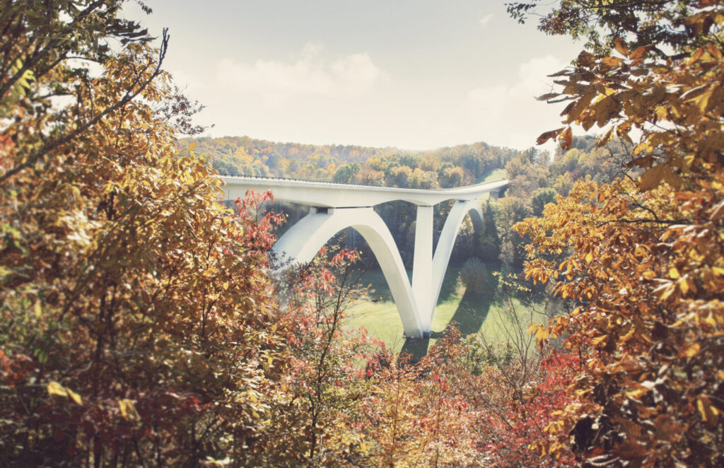 A white bridge arches gracefully over a valley, framed by vibrant autumn foliage in Williamson County, Tennessee.