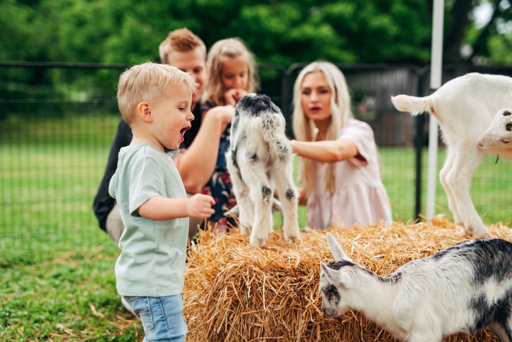 Discover 12 Fun Things To Do With Young Kids in Franklin, TN A young boy excitedly interacts with playful baby goats on a hay bale while his family watches and laughs in a fenced outdoor area in Williamson County, Tennessee.