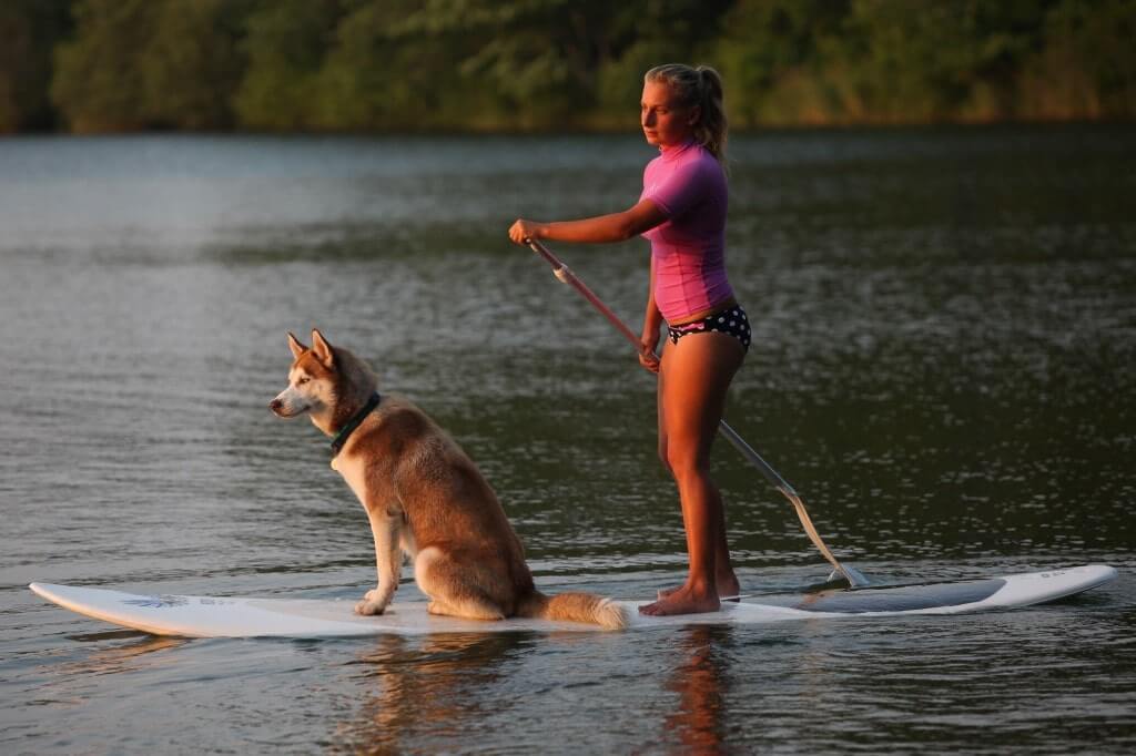 Paddle Dog