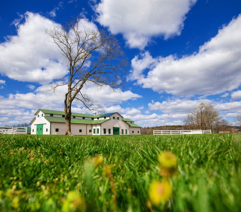barn in a field of flowers with a blue sky with clouds