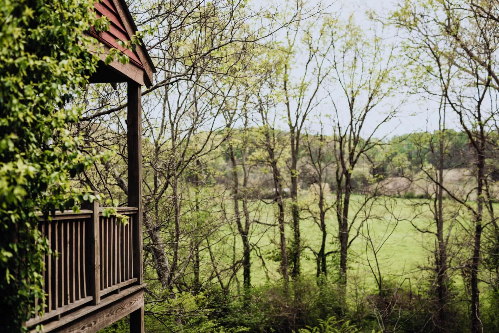 A wooden deck with a railing overlooks a lush green field bordered by bare trees in Williamson County, Tennessee.