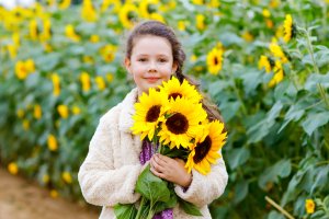 Tennessee Sunflowers and Zinnias: You-Pick Season A young girl with a braid holds a bouquet of vibrant sunflowers in a field in Williamson County, Tennessee.