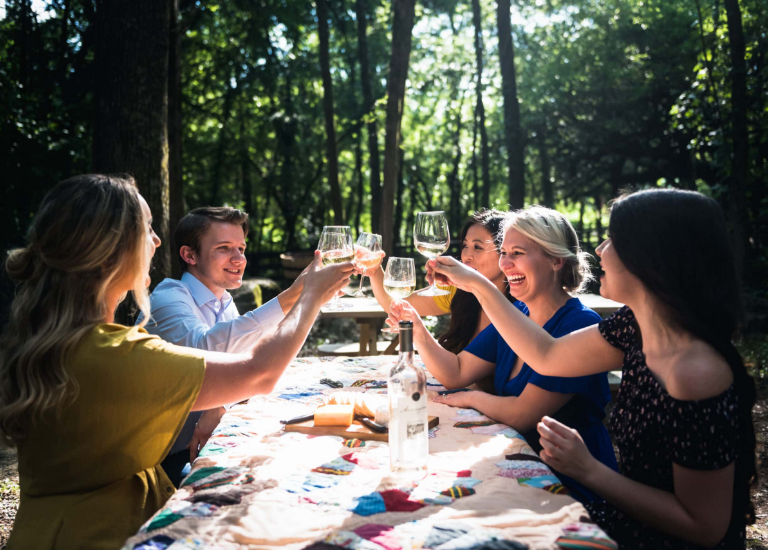 A group of six friends enjoys a picnic in the woods, raising wine glasses in a toast in Williamson County, Tennessee.