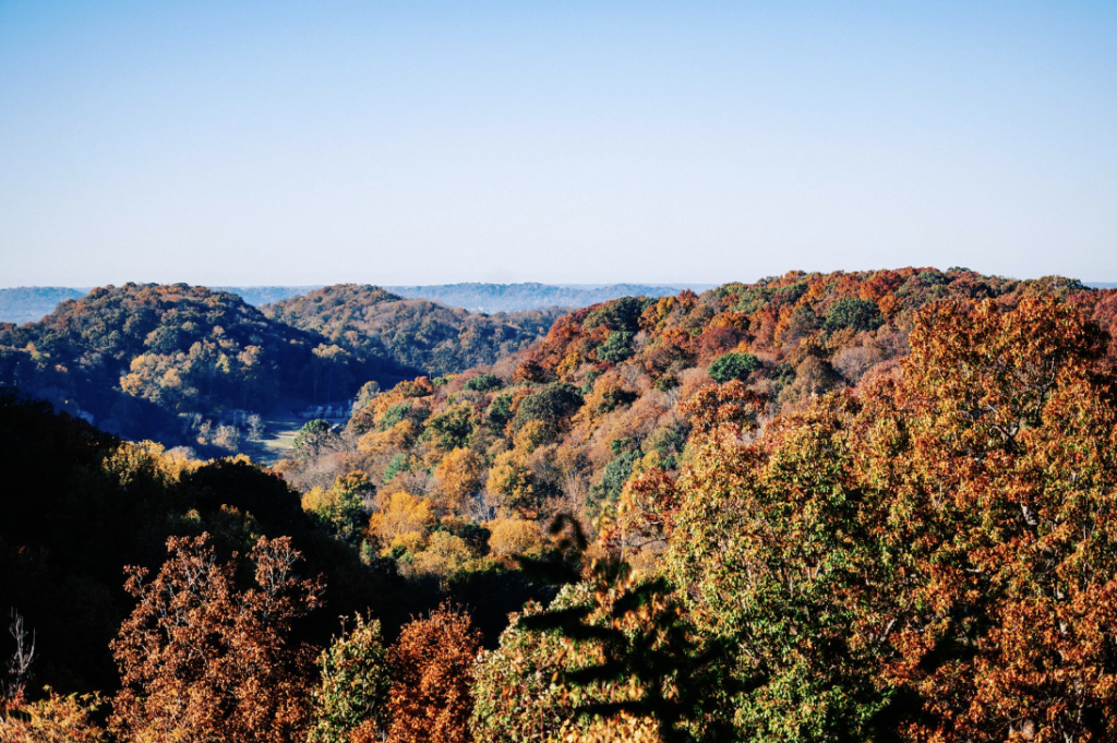 These 8 Scenic Drives Around Franklin Will Take Your Breath Away Vibrant autumn foliage blankets rolling hills under a clear blue sky in Williamson County, Tennessee.
