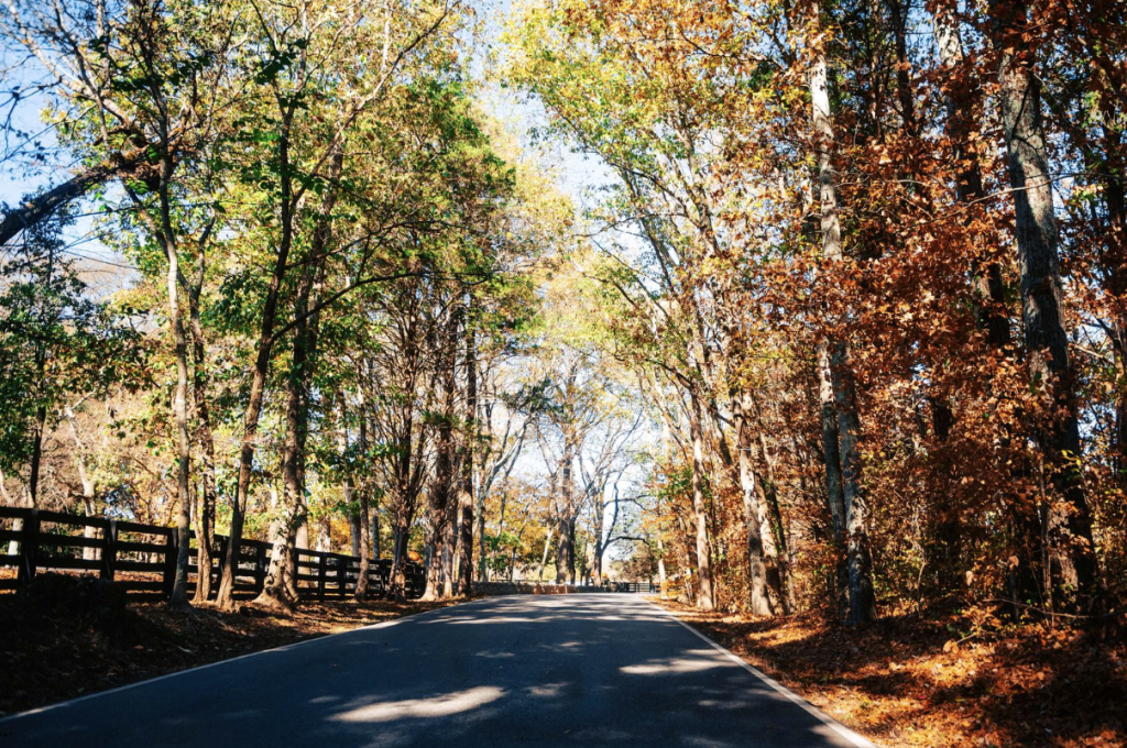 A winding road cuts through a vibrant autumn forest with colorful leaves and tall trees in Williamson County, Tennessee.