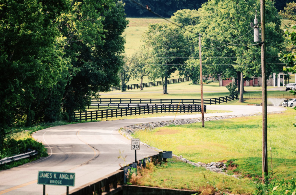 A winding country road curves through a lush green landscape with trees and a wooden fence in Williamson County, Tennessee.